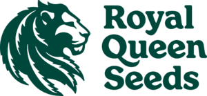 Royal Queen Seeds-All