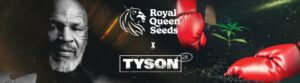 RQS-Tyson 2.0