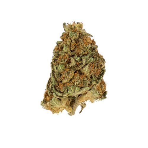 RQS-Northern Light - Image 3