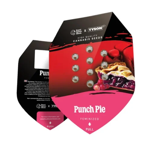 RQS-Punch Pie-Mike Tyson - Image 3