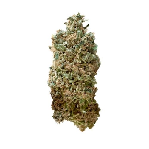RQS-Royal Skywalker