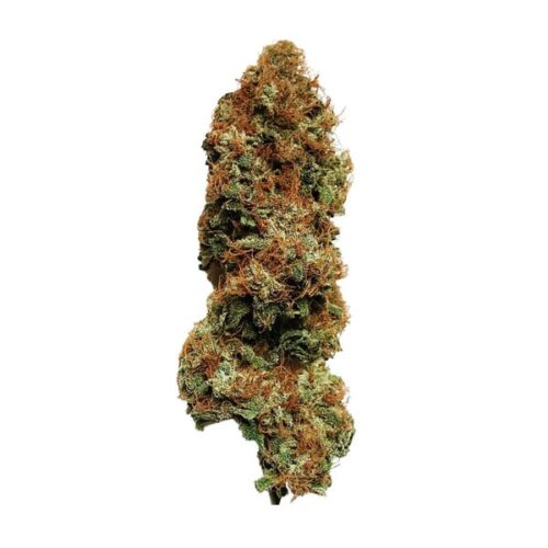 RQS-White Widow - Image 3