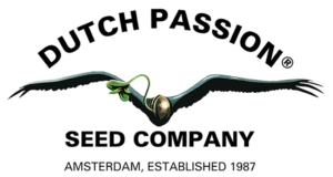 Dutch Passion - All